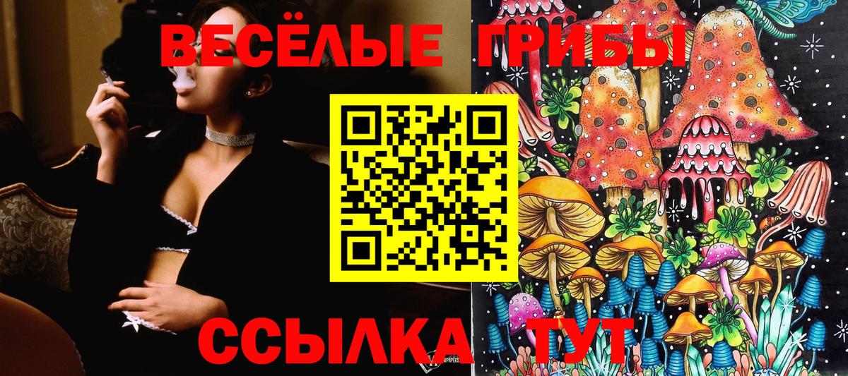 Галлюциногенные грибы Psilocybe  Вход с VPN  Владивосток 