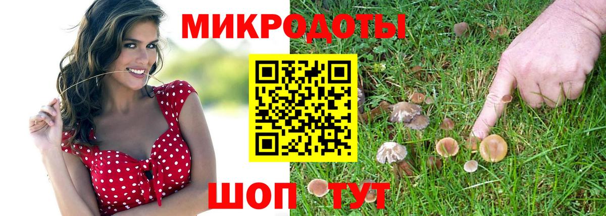 Псилоцибиновые грибы GOLDEN TEACHER Владивосток